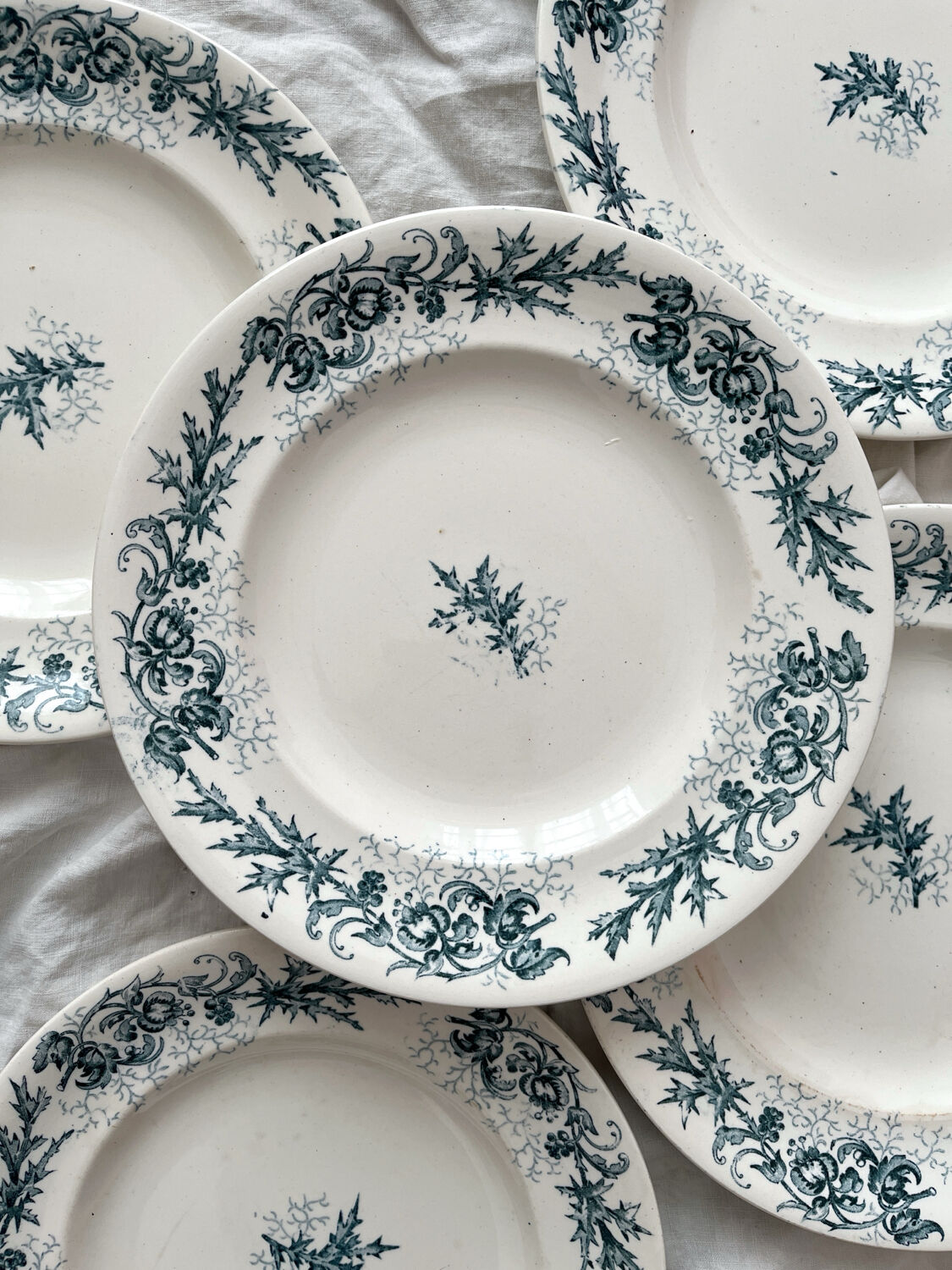5 old flat ironstone plates “Cyrano” Longwy