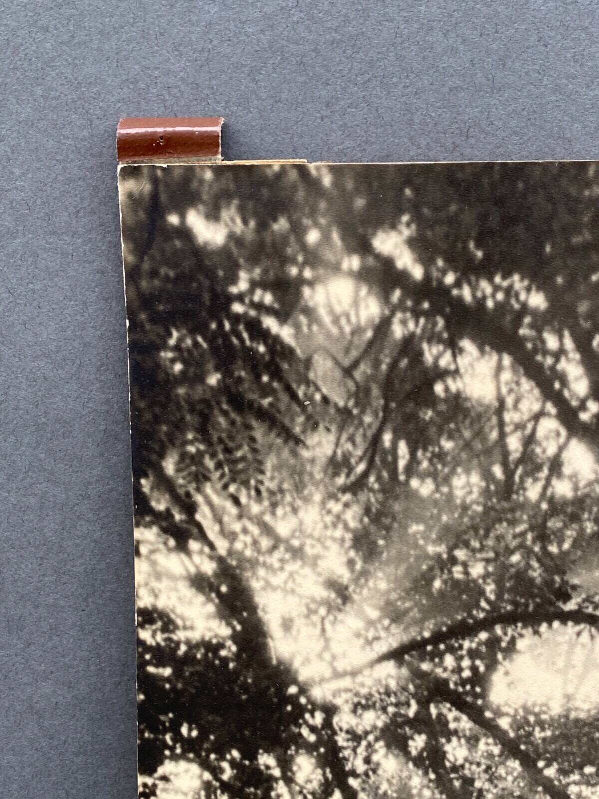 Film photograph by Bernard Darot, Morning in the Bois de Boulogne, Nantes Club