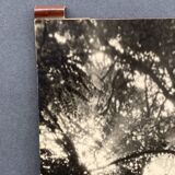 Film photograph by Bernard Darot, Morning in the Bois de Boulogne, Nantes Club