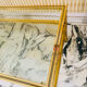 Coffee table with 2 brass and glass tops signed Pierre Vandel Paris, circa 70s.