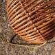 Ball rattan pendant light