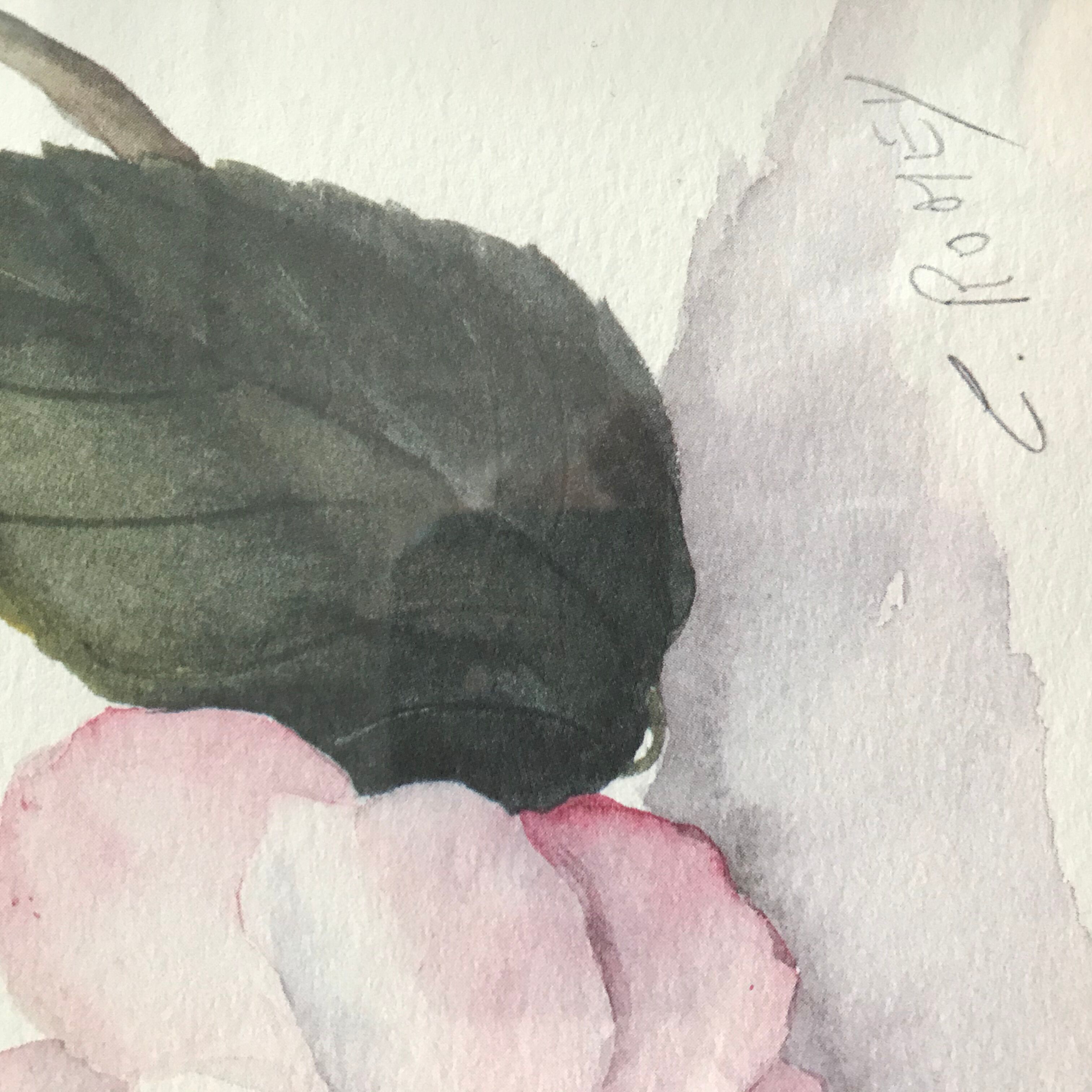 Botanical watercolour signed and framed