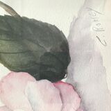 Signed and framed botanical watercolor