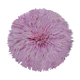 Juju hat rose pâle 80cm