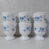 6 arcopal cockroaches myosotis