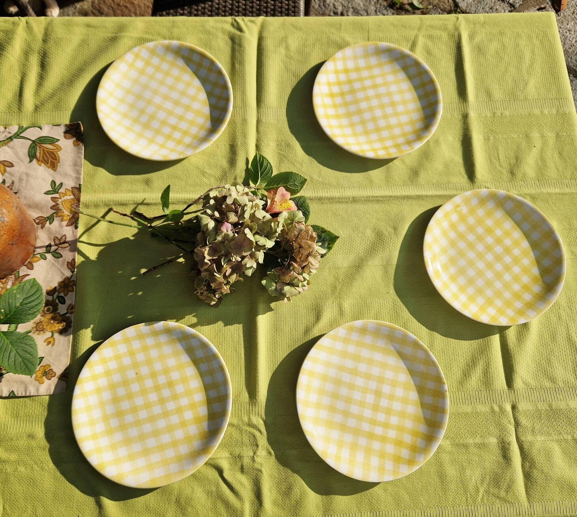 Set of 5 salins flat plates, saint raphael model, yellow checks, 24 cm, 60s