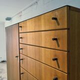 VSJ-125 Salon Cabinet by Kurt Gunther & Horst Brechtmann for Fristho, 1960