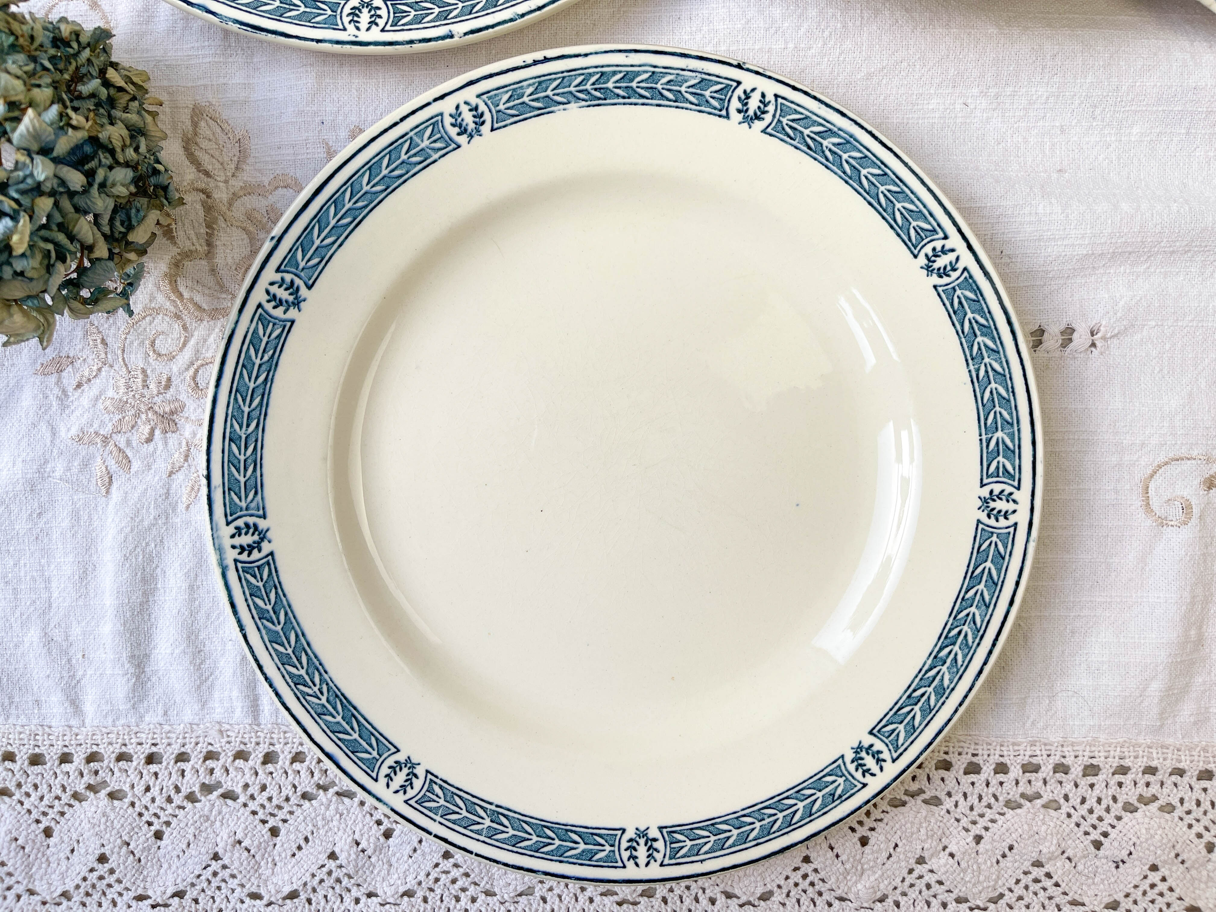 9 vintage flat plates iron earth salins model "castellane"