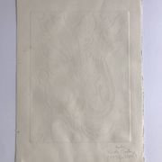 Nicole quétin, the grass lights up its lights, c. 1990. etching signed in pencil