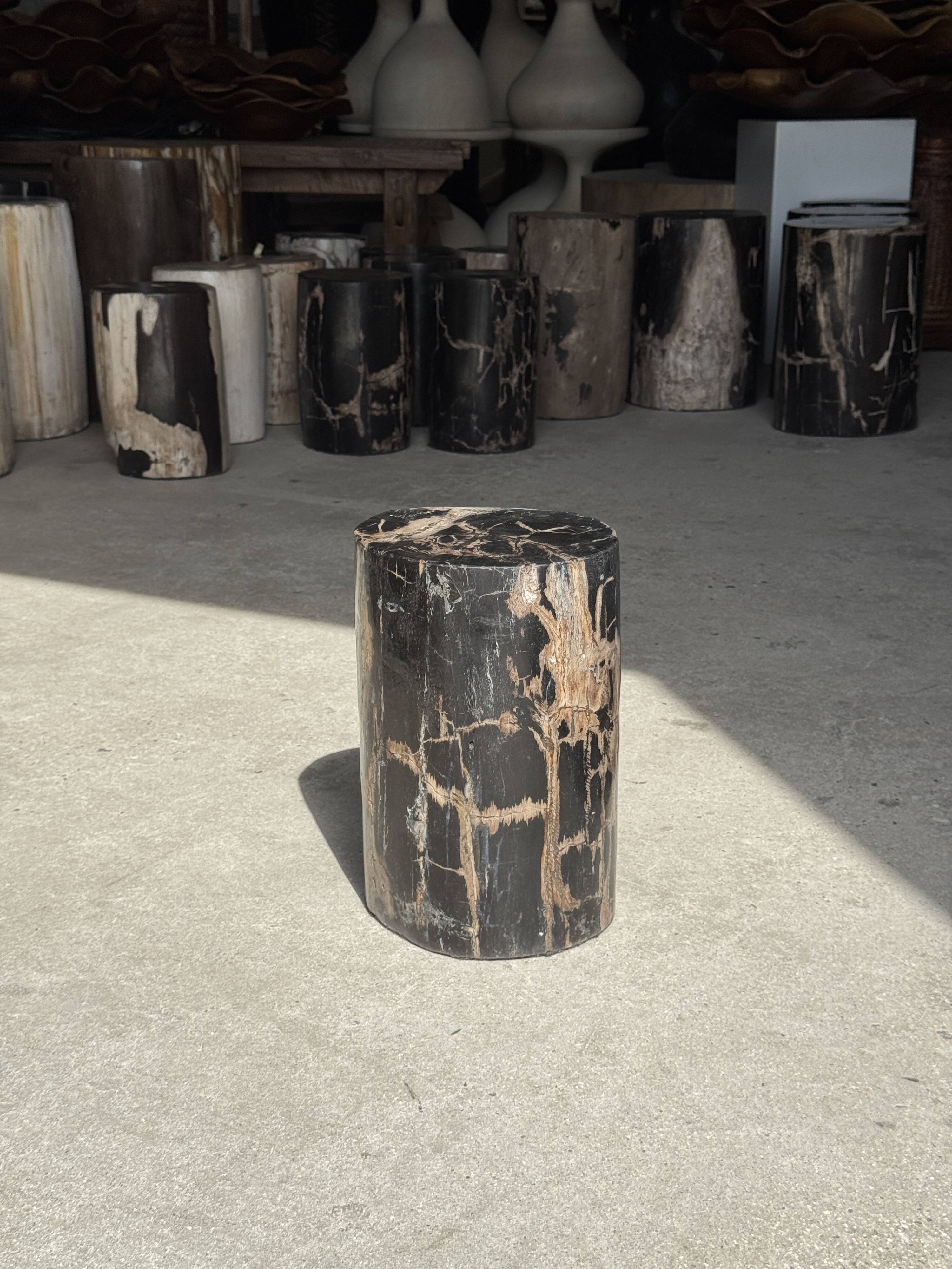 Table d'appoint en bois pétrifié noir
