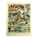 Old lithograph 1928 A. Millot - Birds 3, ornithology, birds