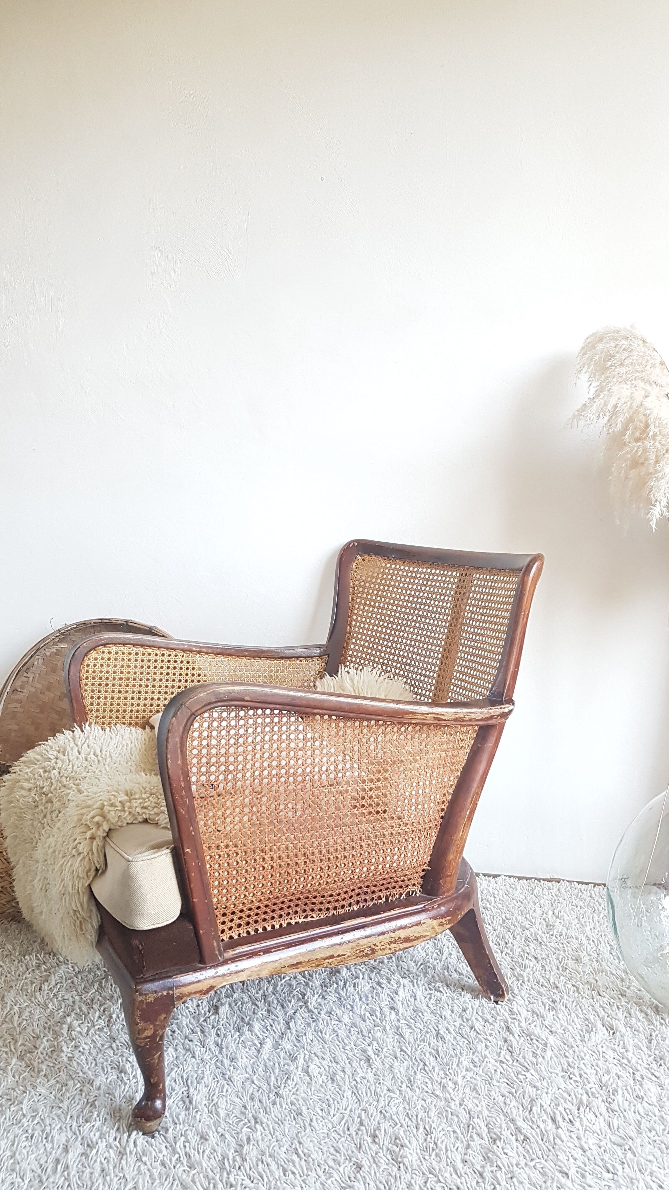 Steiner canna armchair