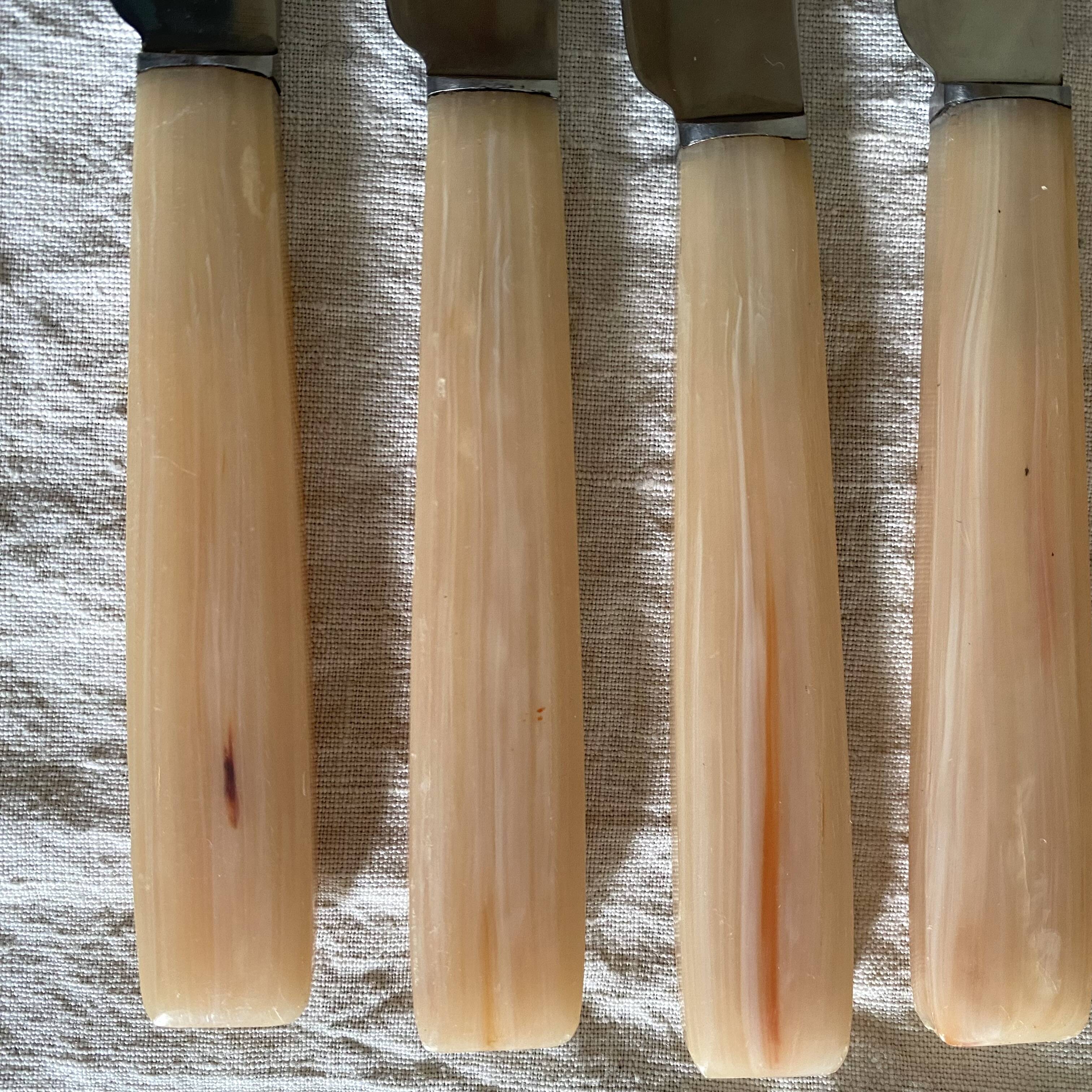 Vintage resin and stainless steel knives