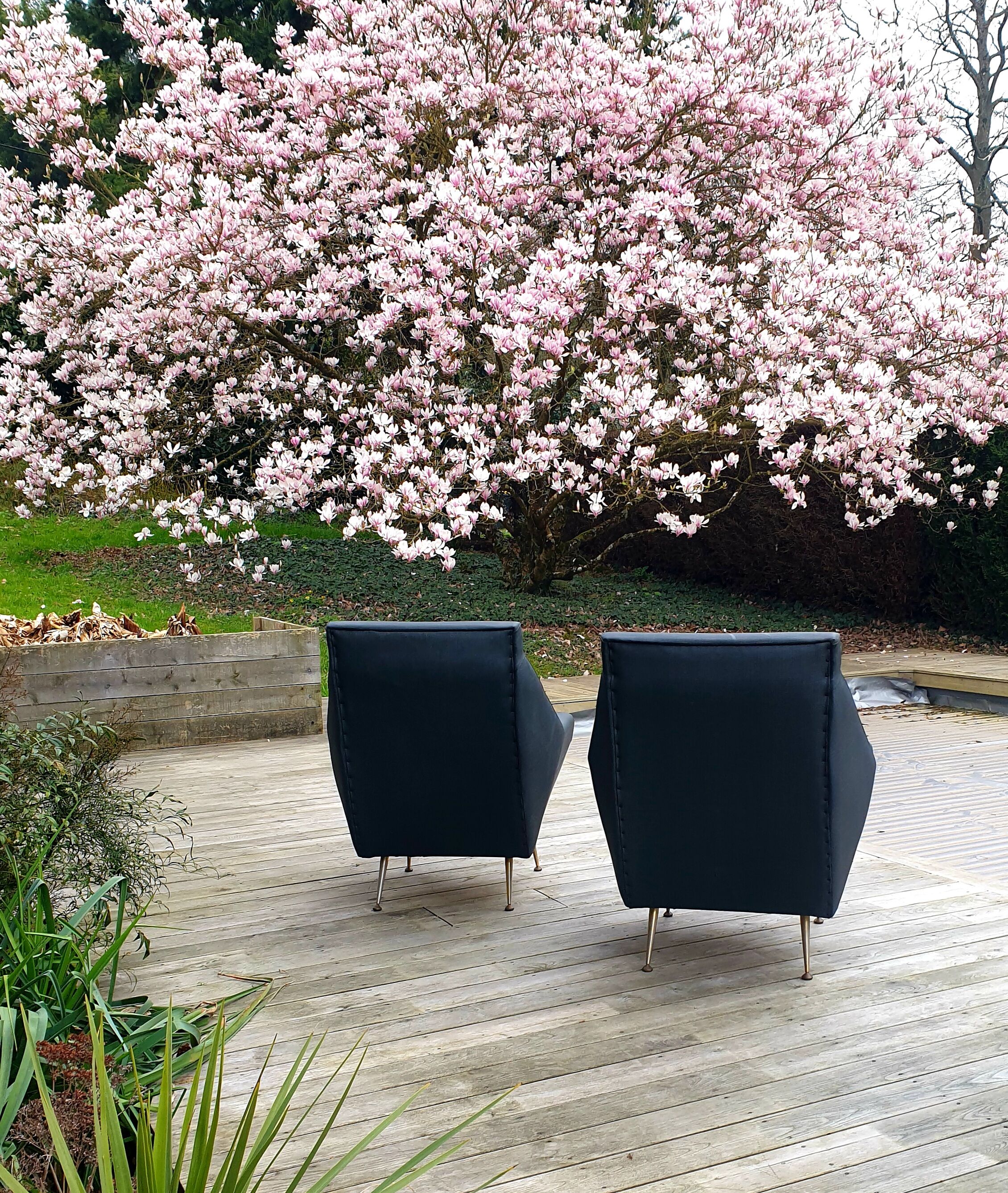 Pair of vintage modernist armchairs 50s