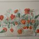 Tableau floral