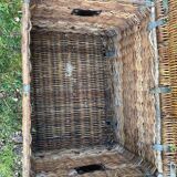 Wicker trunk
