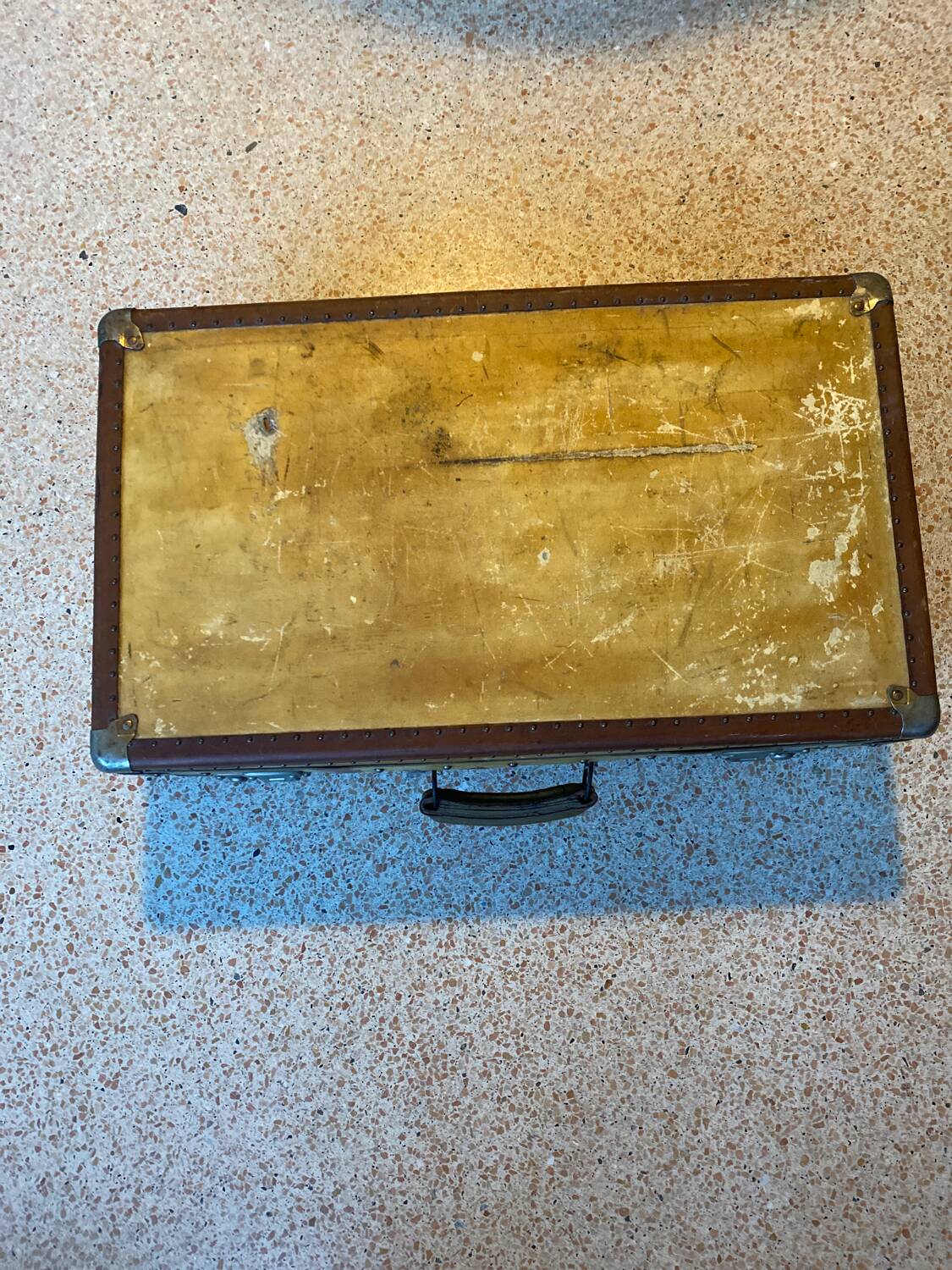 Luxury velun suitcase 1920