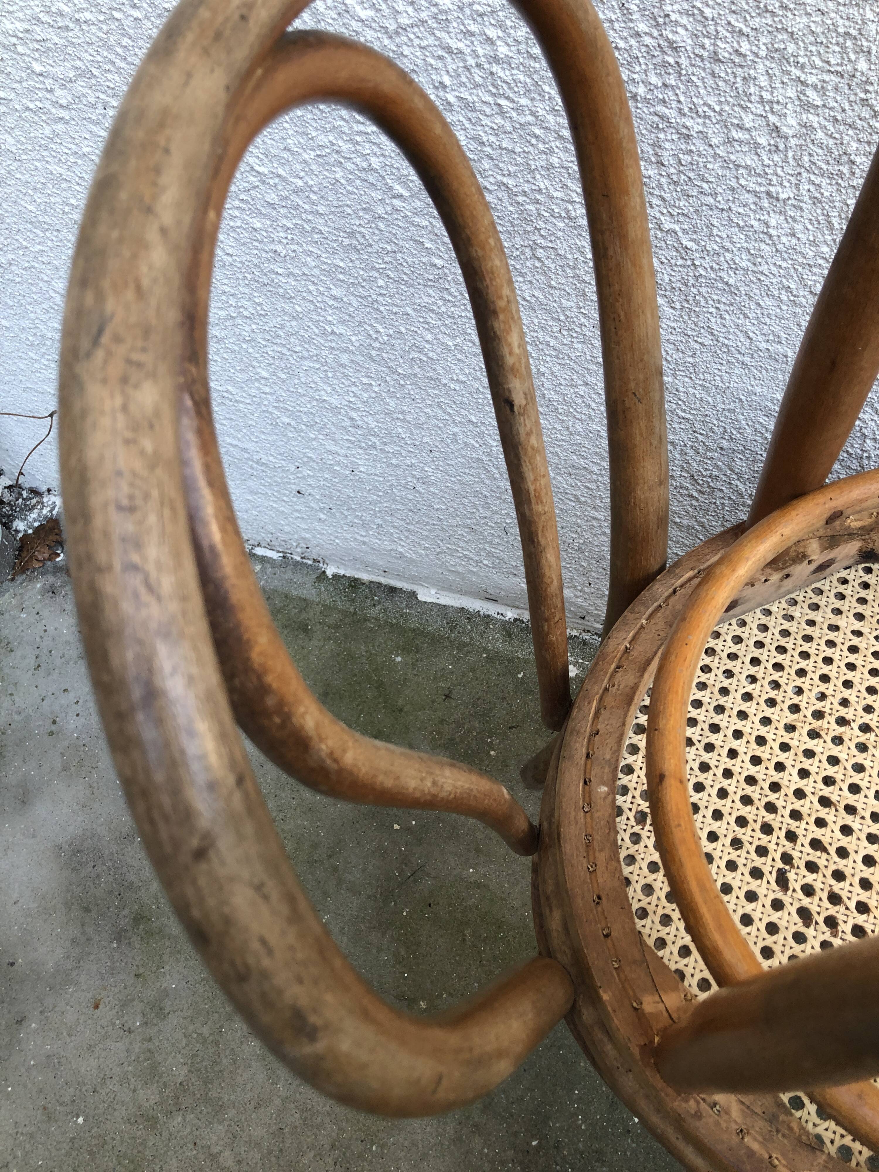 Thonet chairs