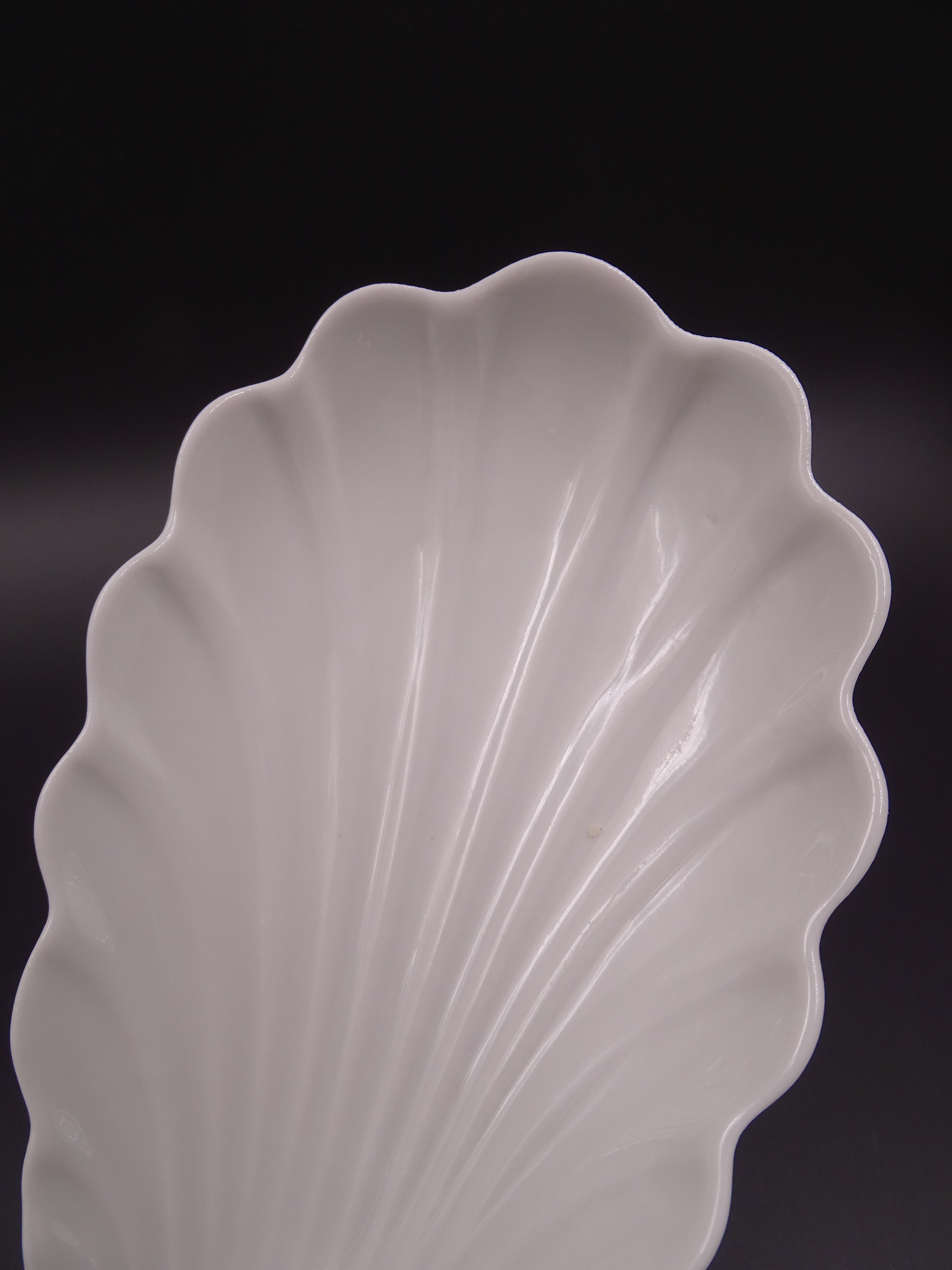 Set of 7 cups in white porcelain and in the shape of a shell - Pillivuyt around 1940