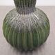 Contemporary cactus round vase in glazed dolomite ceramic.