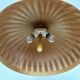 Large Wooden Pendant Lamp