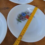 Set of 6 plates in arcopal 70