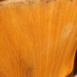 6 Scandinavian wooden chairs