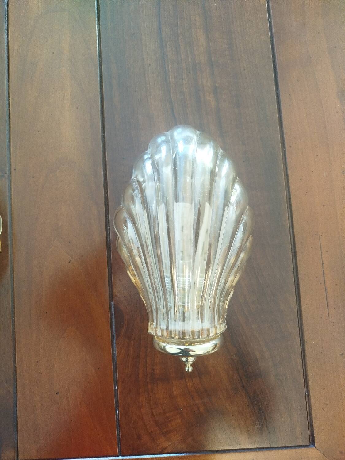 Pair of shell wall sconces – striped Italian glass – 1970