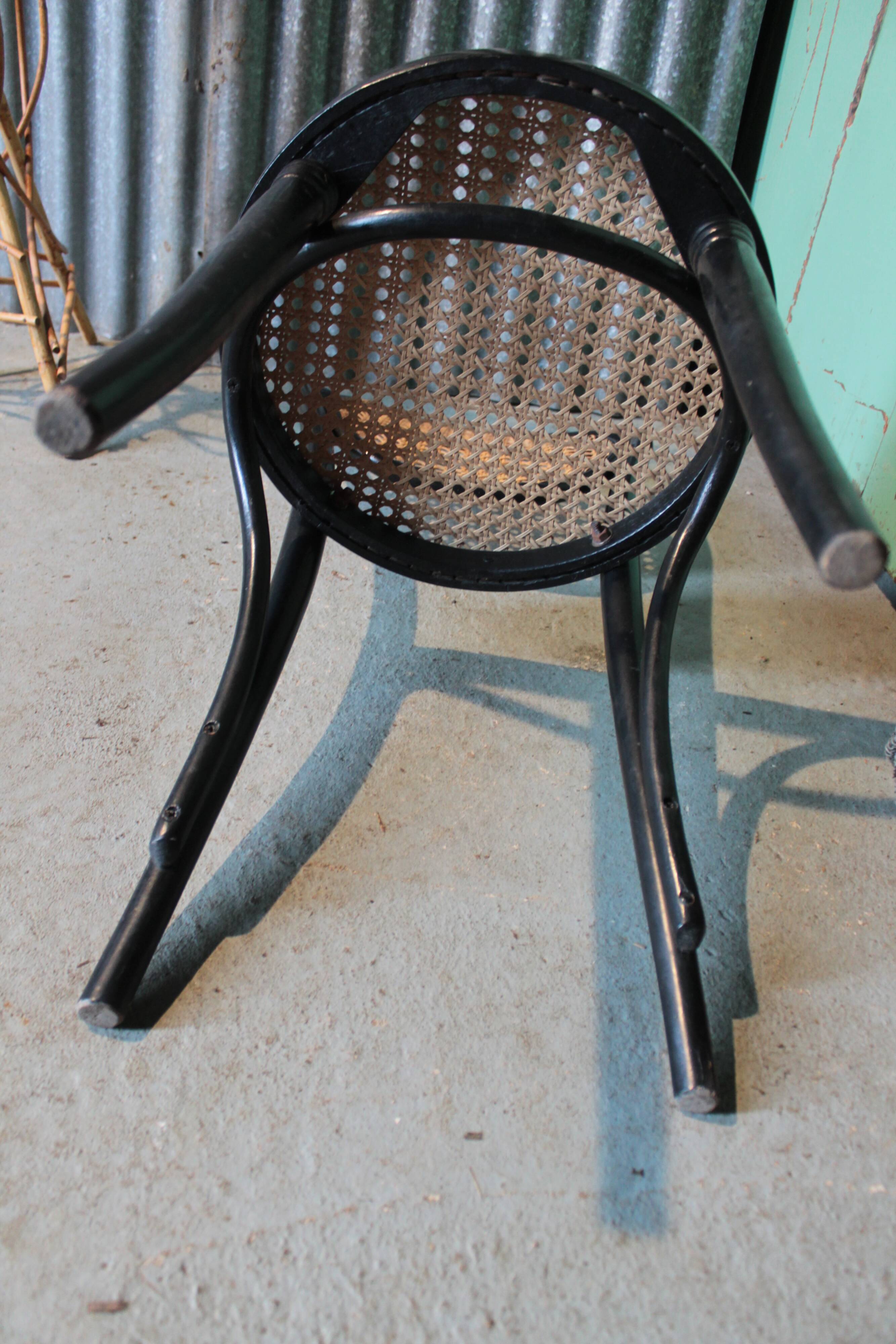 Black canine chair