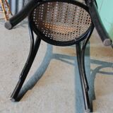 Black canine chair