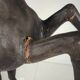 Early 20th Century Antique Leather Horse Sculpture with Glass Eyes