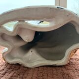 Leopard, Italian sculpture in glazed ceramic.