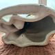 Leopard, Italian sculpture in glazed ceramic.