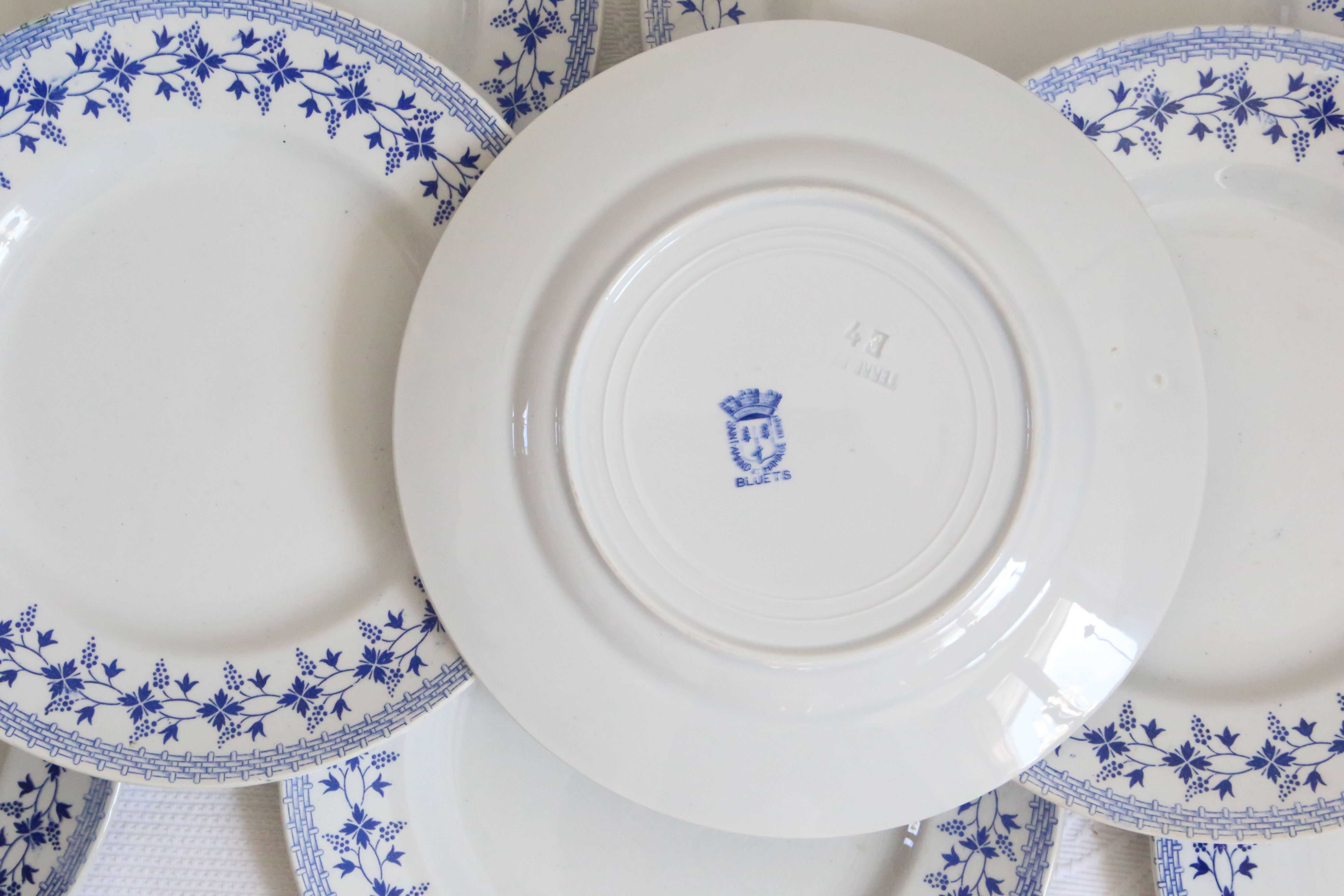 Ensemble de 9 assiettes plates, saint Amand, Bleuets, terre de fer