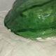 Large cabbage leaf plate Gerber – French barbotine – decorative piece