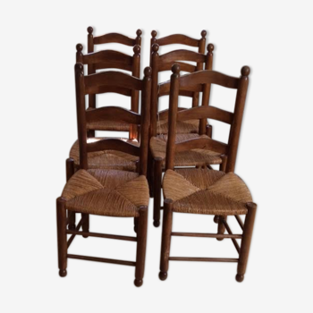 Set of 6 chairs in wood and straw