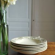 « Palmyre » - 6 assiettes creuses terre de fer Sarreguemines