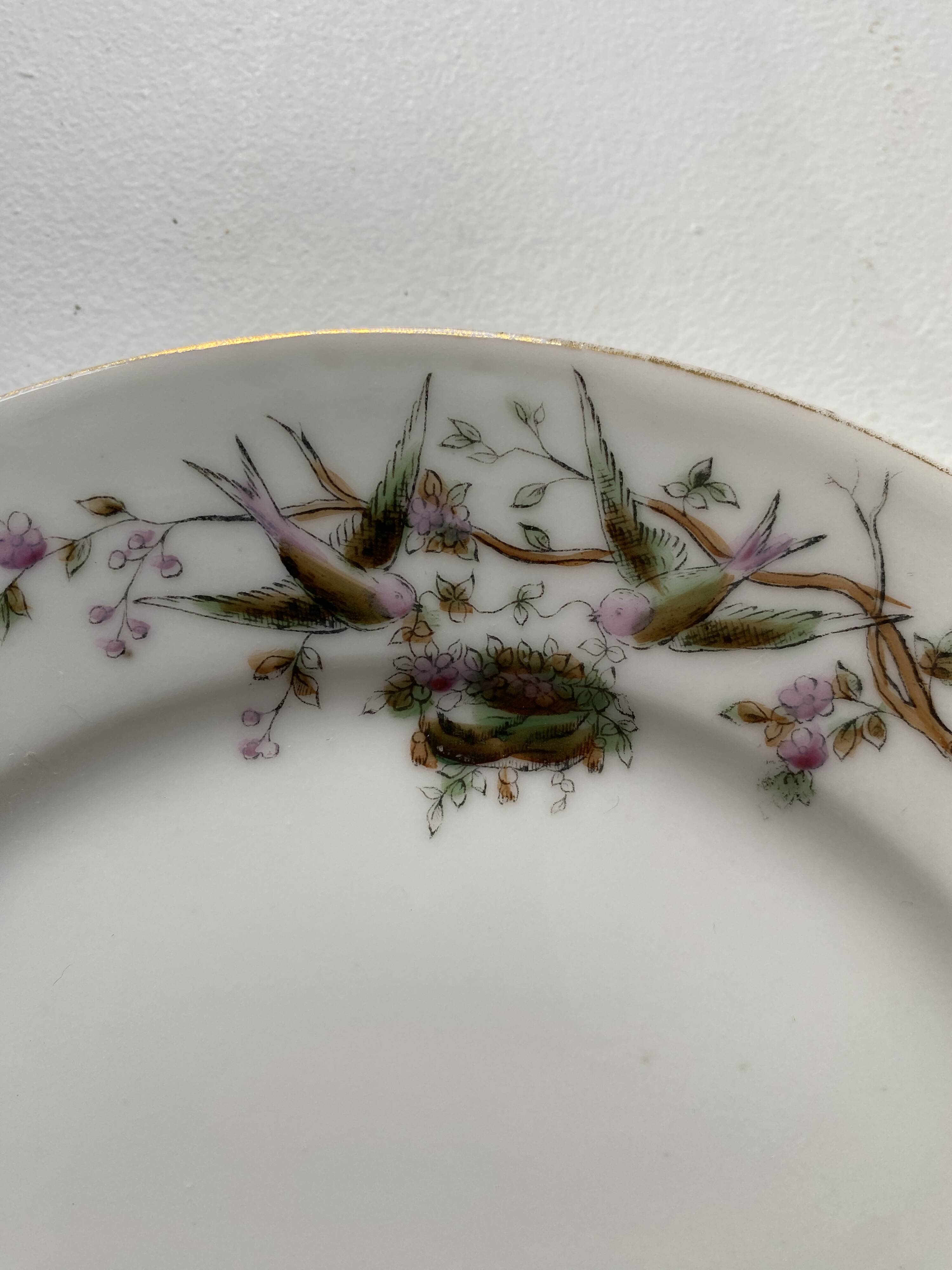 12 vintage porcelain dessert plates signed hache, julien & cie birds