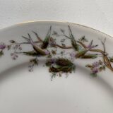 12 vintage porcelain dessert plates signed hache, julien & cie birds