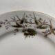12 assiettes à dessert vintage porcelaine signé hache, julien & cie oiseaux