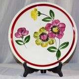 Large dish