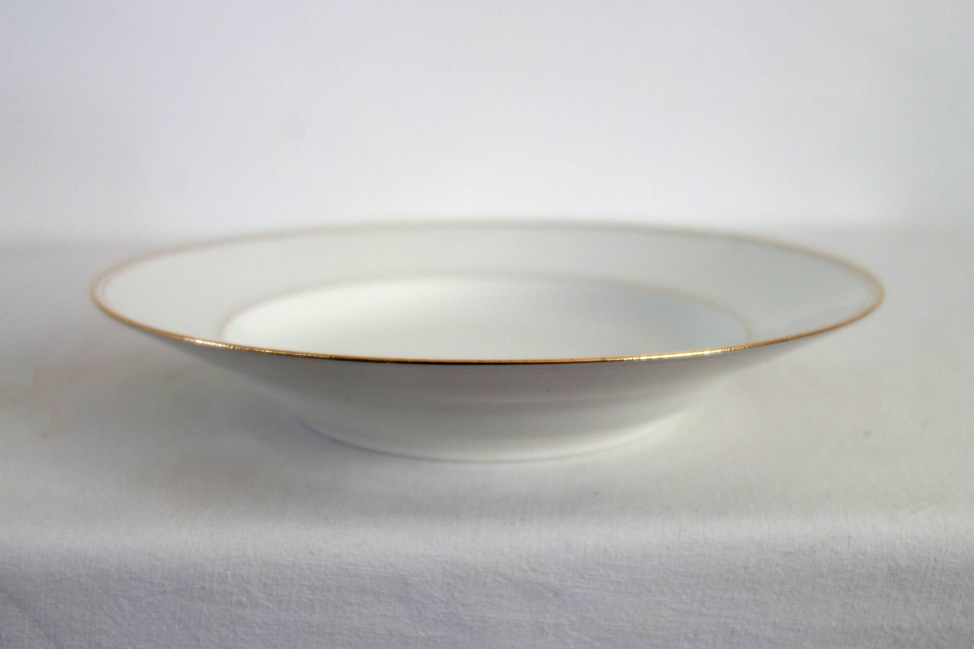 Set of 11 Limoges porcelain soup plates