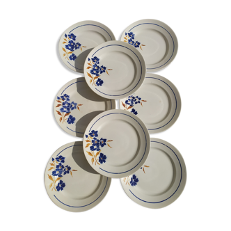 8 assiettes plates Badonviller model "Tunis