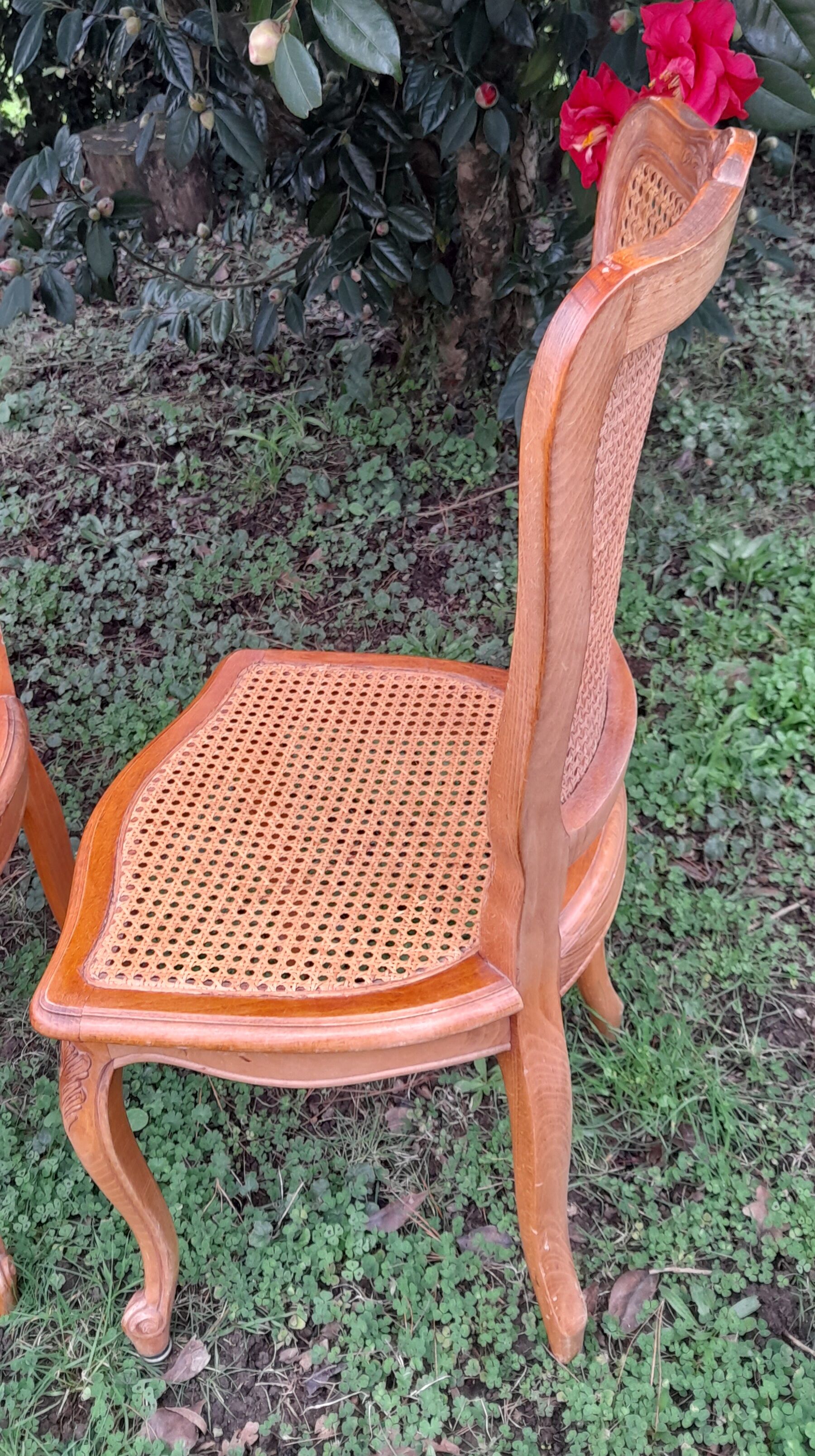 4 chairs channes Louis XV style 50s