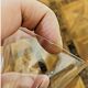 11 Saint-Louis crystal champagne flutes – Cerdagne pattern