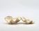 Natural white shell vide poche, 1970s.