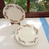 6 flat plates KG Lunéville