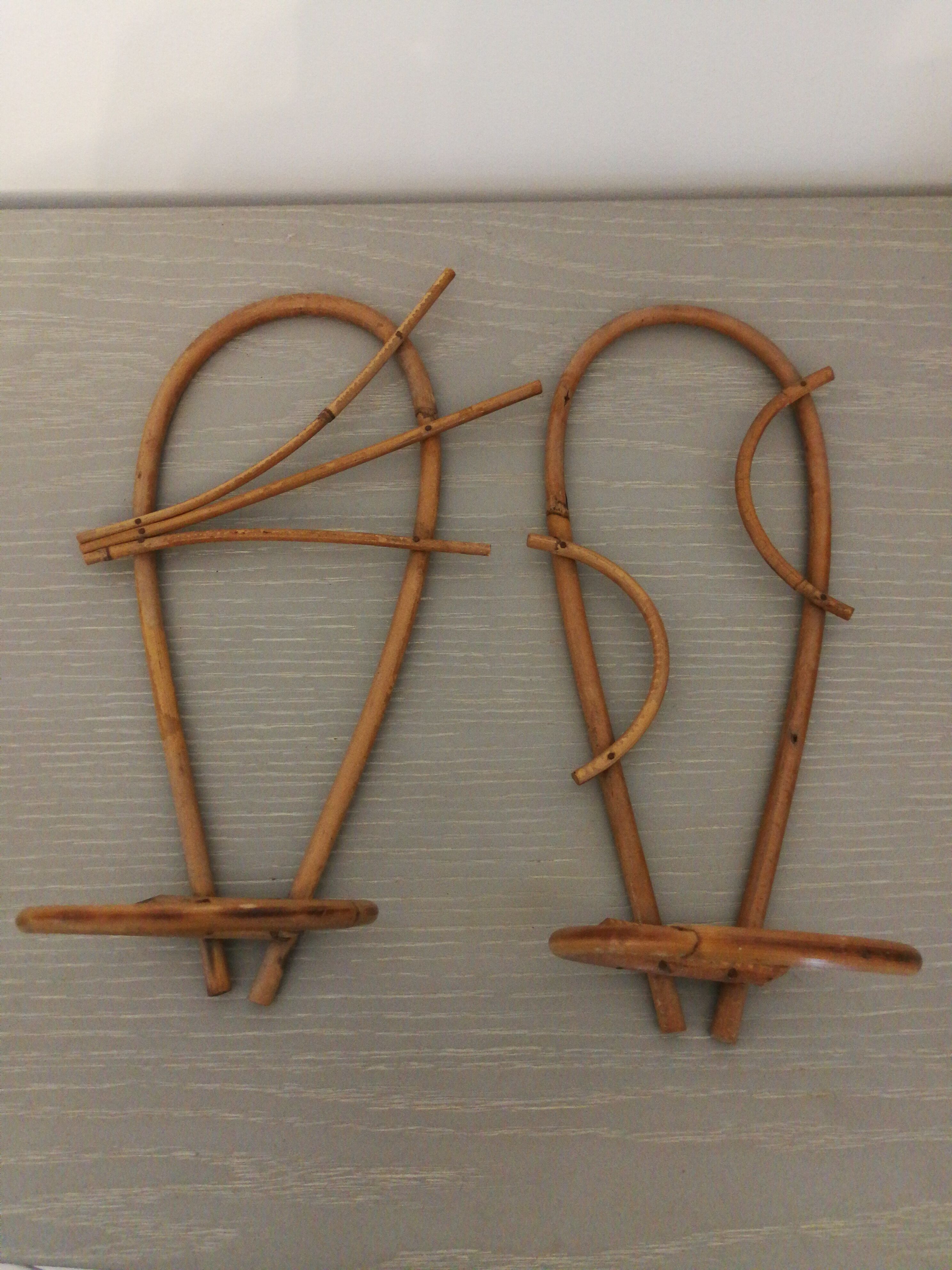 Duo d'appliques murale pour plante