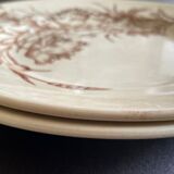 Flat plates iron earth