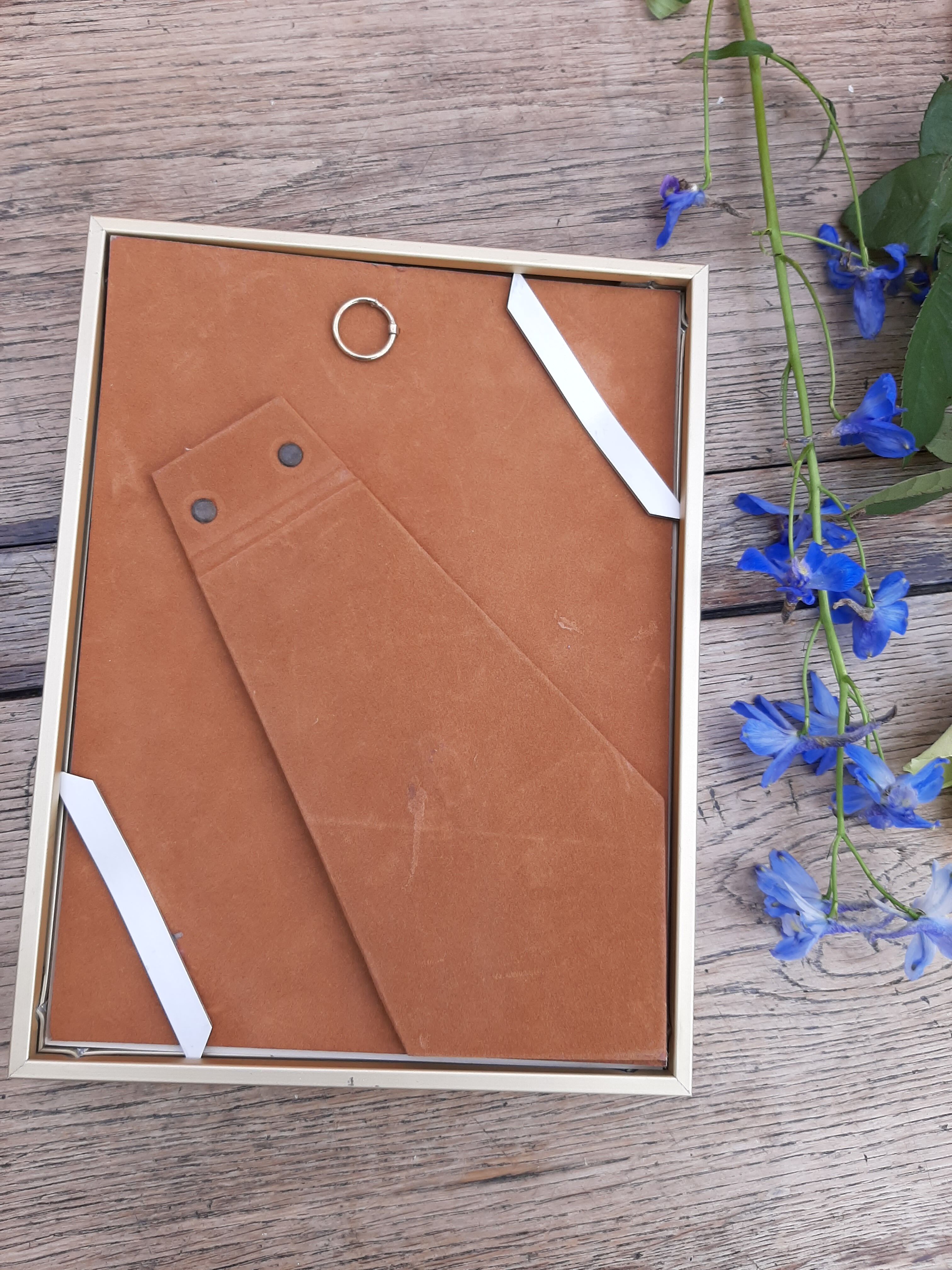 Lithograph Roses de Redouté